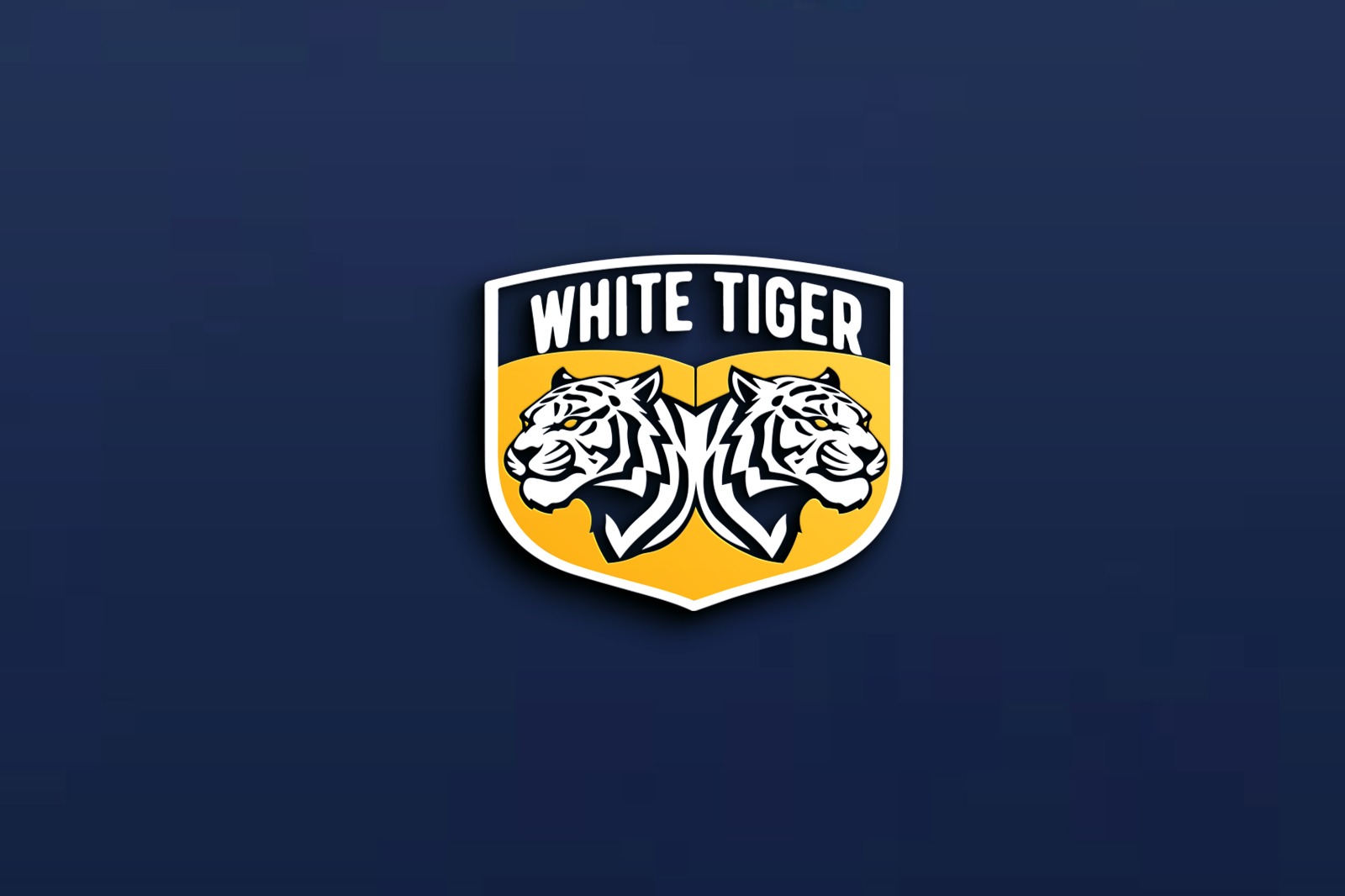 Portfolio Brand
